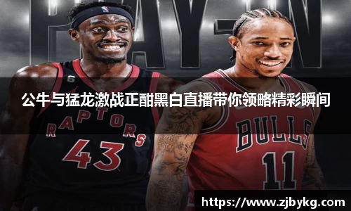 熊猫体育公牛与猛龙激战正酣黑白直播带你领略精彩瞬间